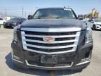 2019 Cadillac Escalade esv Luxury