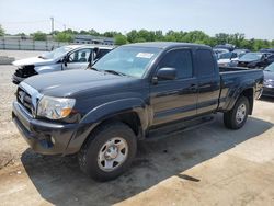 2005 Toyota Tacoma Prerunner Access Cab en venta en Louisville, KY