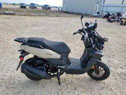 Salvage motorcycles for sale at Taylor, TX auction: 2024 Zhil Ascend 150