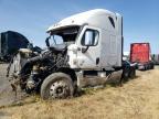 2015 Freightliner Cascadia 125 Semi Truck
