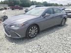2020 Lexus ES 350