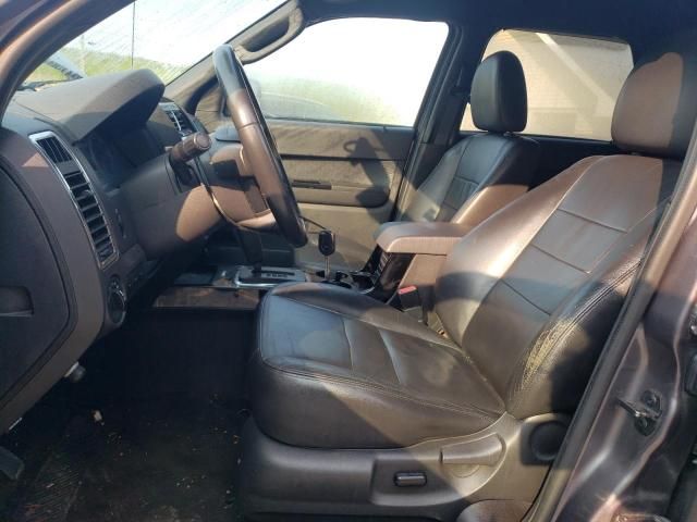 2010 Ford Escape Limited