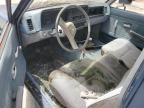 1986 Isuzu PUP