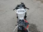 2024 Aprilia RS 660 Extrema