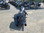 2024 Harley-Davidson Flhrxs