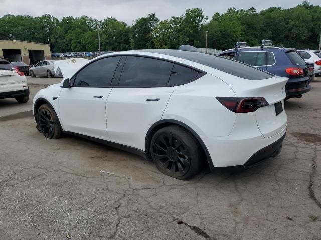 2024 Tesla Model y
