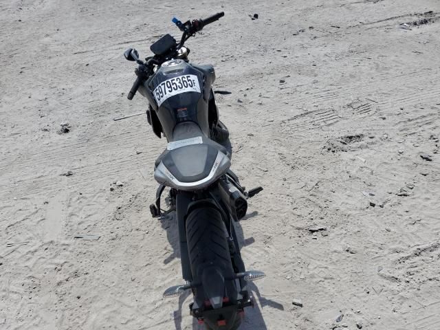 2024 Cf Moto 800NK