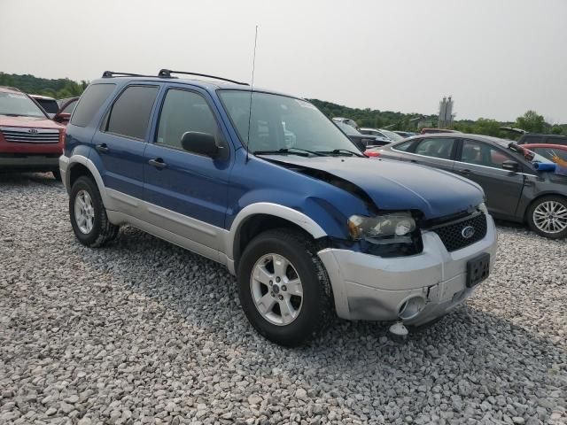 2007 Ford Escape XLT