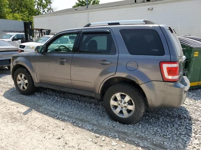 2010 Ford Escape Limited