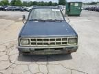 1986 Isuzu PUP