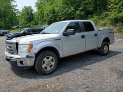 2012 Ford F150 Supercrew en venta en Marlboro, NY