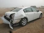2008 Nissan Maxima se
