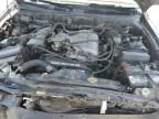 1999 Toyota 4runner Limited