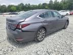 2020 Lexus ES 350