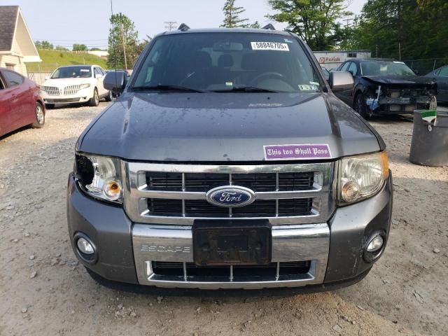 2010 Ford Escape Limited