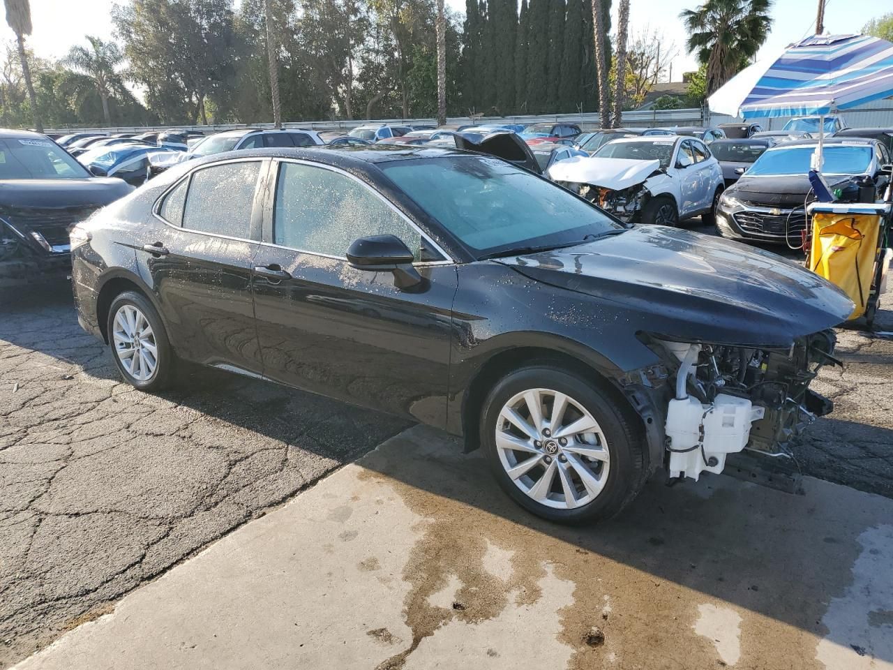 2023 Toyota Camry le