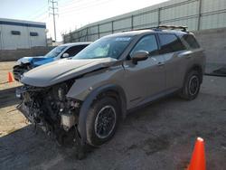 2024 Nissan Pathfinder Rock Creek for sale in Albuquerque, NM