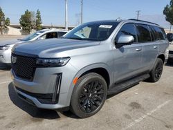 2023 Cadillac Escalade Sport for sale in Rancho Cucamonga, CA