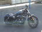 2022 Harley-Davidson XL883 N