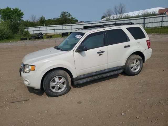 2012 Ford Escape XLT