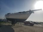 1974 Sail Boat Boat