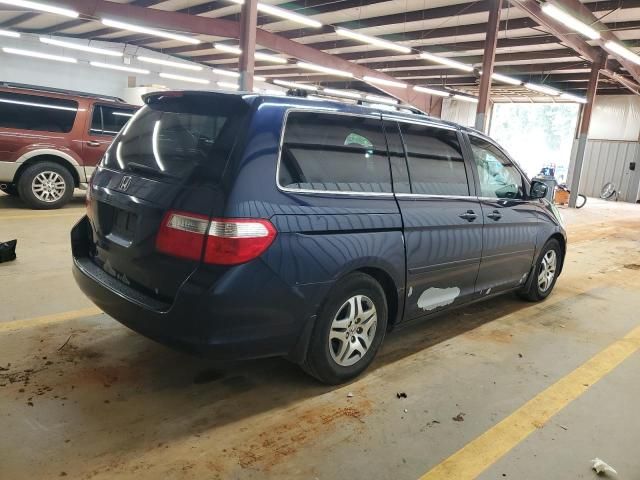 2005 Honda Odyssey EXL