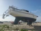 1974 Sail Boat Boat