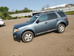 2012 Ford Escape XLT for sale in Columbia Station, OH