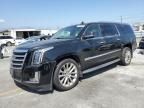 2019 Cadillac Escalade esv Luxury