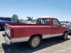 1991 Ford Ranger
