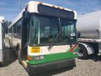 2006 GIL LIG Low Floor-Bus