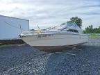 1980 Sea Ray Boat