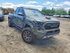 2025 Toyota Tacoma TRD Sport HV