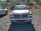 2001 Dodge Dakota Quattro