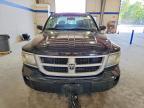 2009 Dodge Dakota SXT