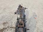 2004 Harley-Davidson FXD