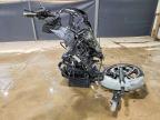 2024 Harley-Davidson Fltrx
