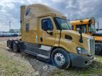 2018 Freightliner Cascadia 113