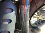 2019 Harley-Davidson Fxbb