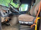2018 Freightliner Cascadia 113