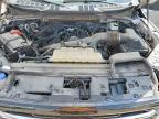 2025 Ford F150 XLT