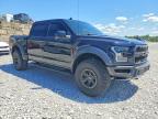 2019 Ford F150 Raptor