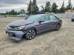 Vehiculos salvage en venta de Copart Spanaway, WA: 2016 Honda Accord exl