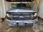 2025 Ford F150 XLT