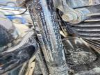 2021 Harley-Davidson Fltrxs