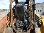 2025 ASV Skid LDR