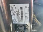 2025 Ford F150 STX