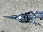 2024 Harley-Davidson Fxlrst