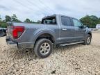 2025 Ford F150 XLT