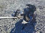 2007 Arctic Cat Arctic Cat